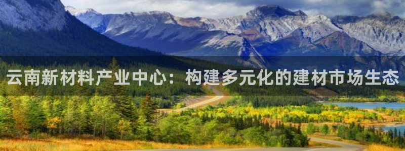 杏鑫官网注册账号