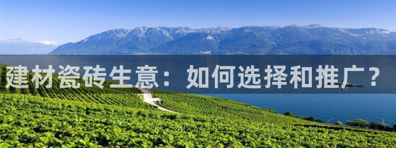 杏鑫平台代理注册登录不了怎么办呀视频