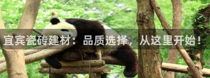 杏鑫平台号7O777