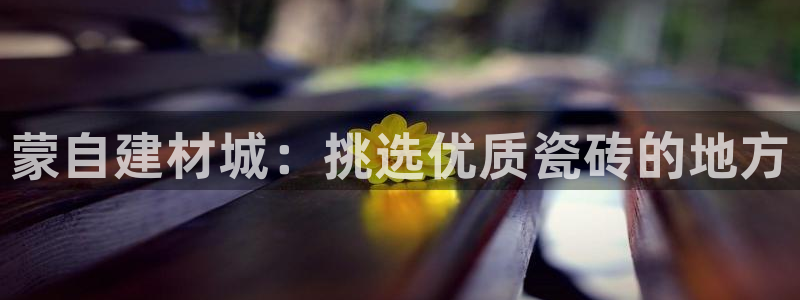 杏鑫官网注册账号是什么意思