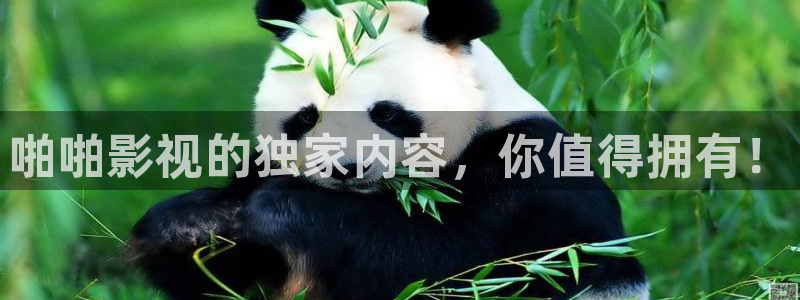 汤姆在线观看电影：啪啪影视的独家内容，你值得拥有！