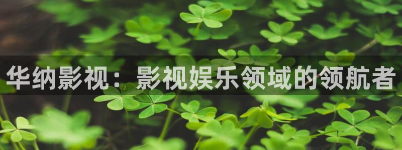 汤姆影院入口在线观看：华纳影视：影视娱乐领域的领航者