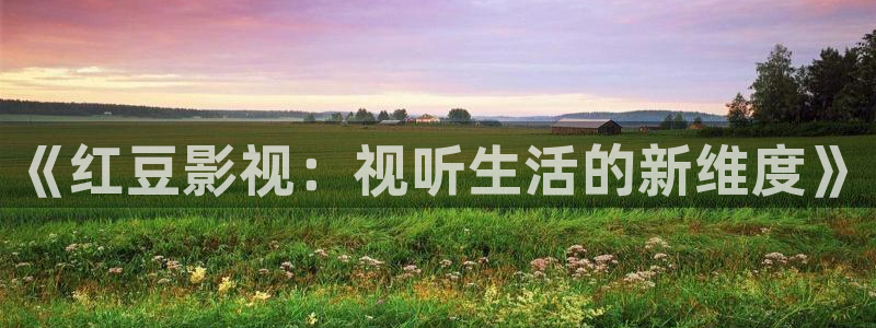 汤姆影院网址：《红豆影视：视听生活的新维度》