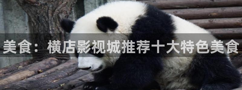 汤姆猫影院在线观看免费：美食：横店影视城推荐十大特色美食