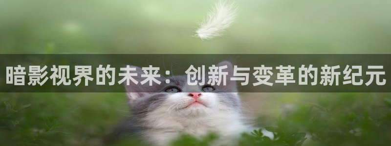 汤姆影视app：暗影视界的未来：创新与变革的新纪元