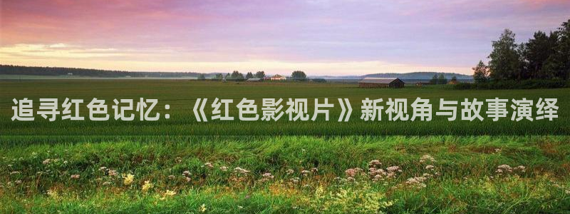 汤姆影院网站在线播放：追寻红色记忆：《红色影视片》新视角与故事演绎