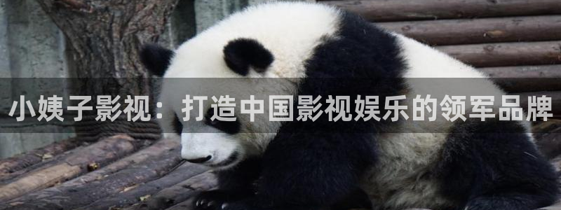 下载汤姆影院：小姨子影视：打造中国影视娱乐的领军品牌