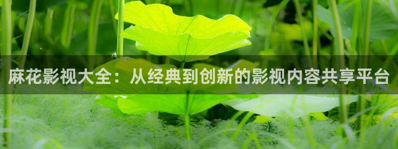汤姆影院观看网址：麻花影视大全：从经典到创新的影视内容共享平台