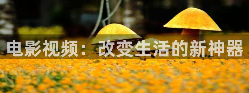 汤姆影院入：电影视频：改变生活的新神器